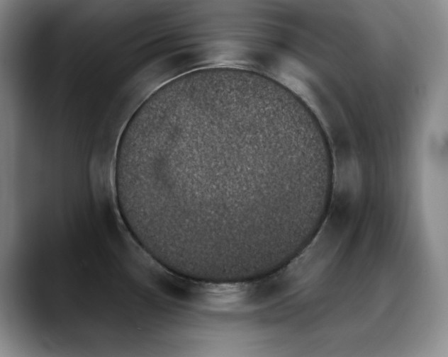 X0000090441338200707131213