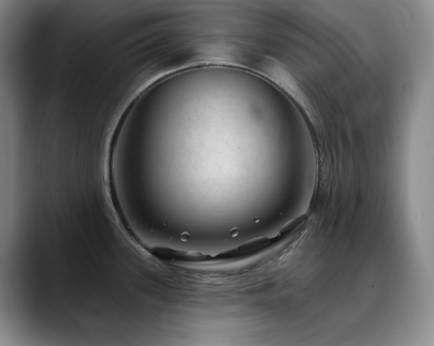 X0000090441339200707131213