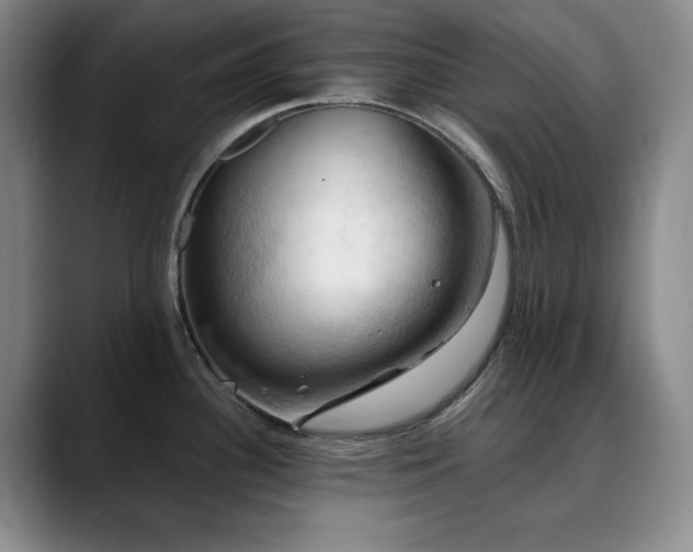 X0000090441340200707131213
