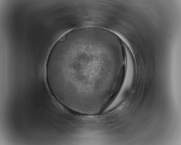 X0000090441341200707131213