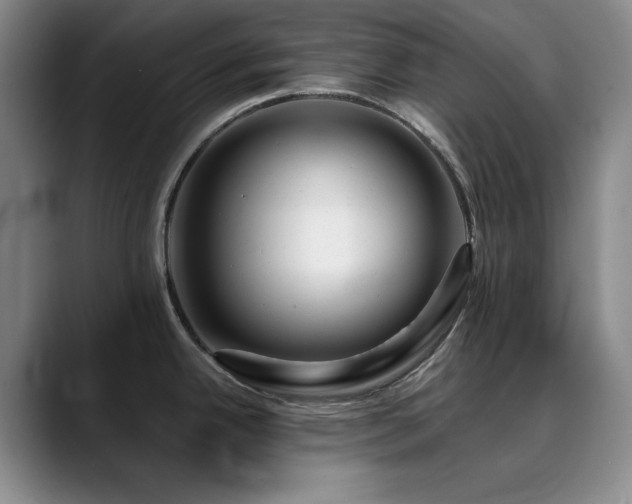 X0000090441342200707131213