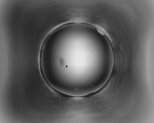 X0000090441343200707131213