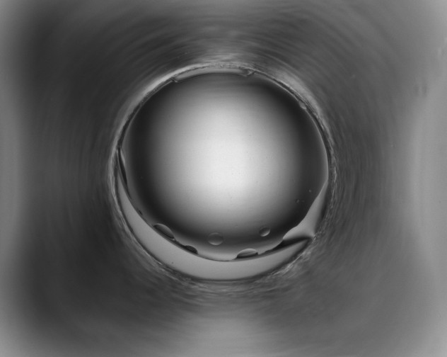 X0000090441344200707131213