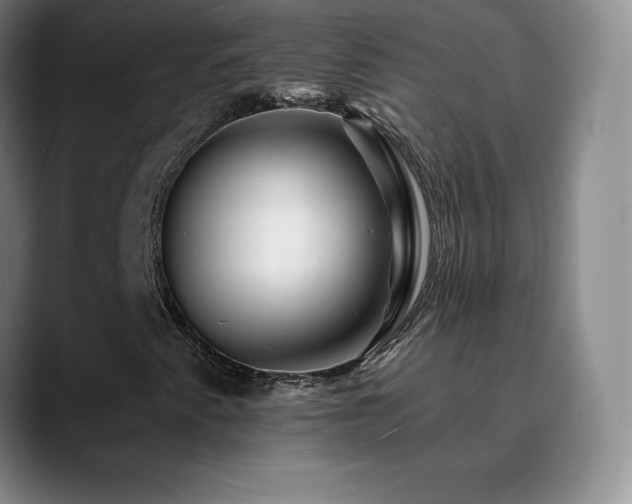 X0000090441345200707131212