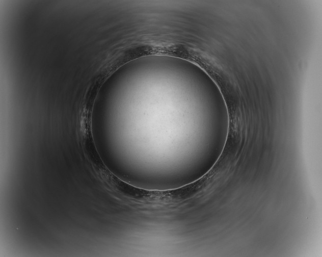 X0000090441346200707131212