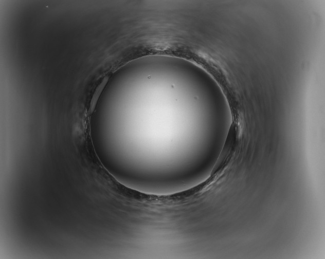 X0000090441349200707131212