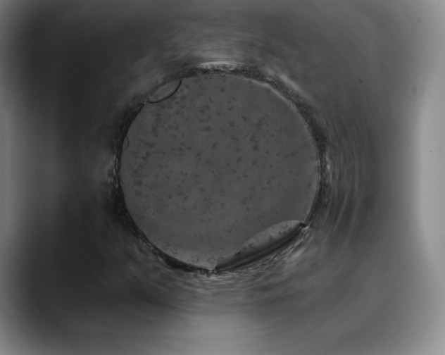 X0000090441351200707131212