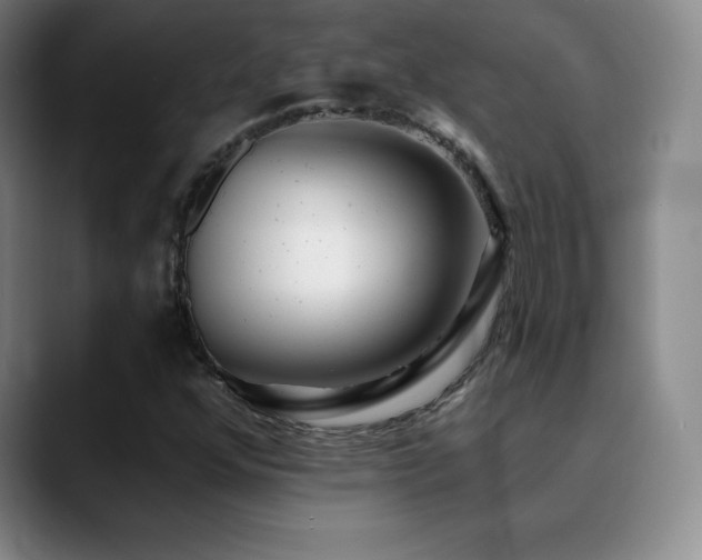 X0000090441352200707131212