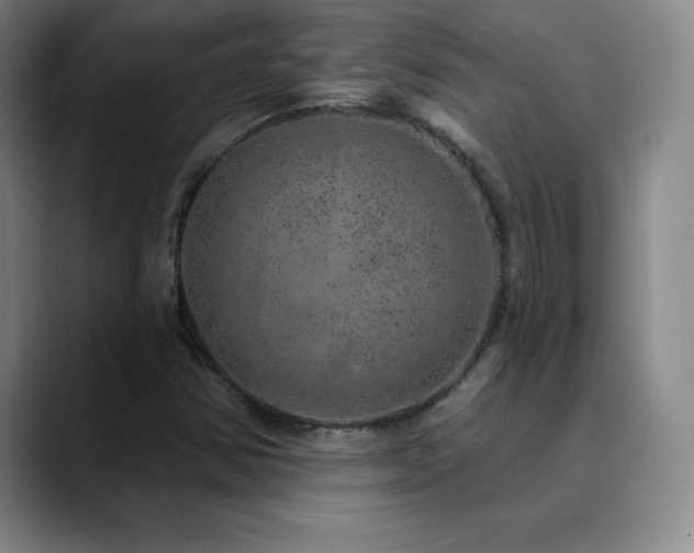 X0000090441354200707131212