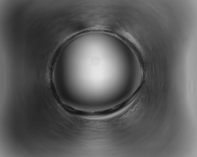 X0000090441356200707131212