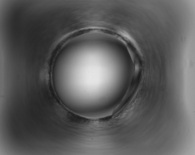 X0000090441360200707131212