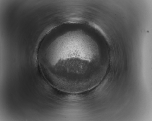 X0000090441362200707131212
