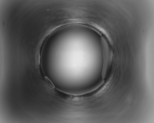X0000090441365200707131212
