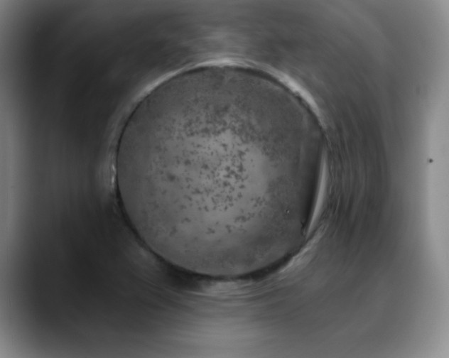 X0000090441367200707131212