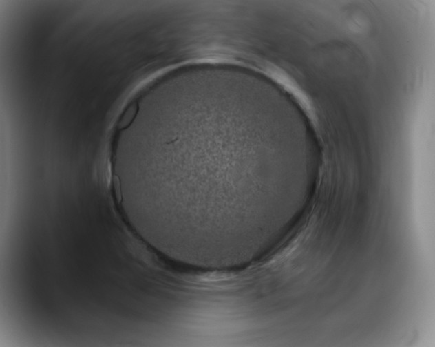X0000090441368200707131212