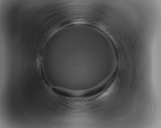 X0000090441369200707131212