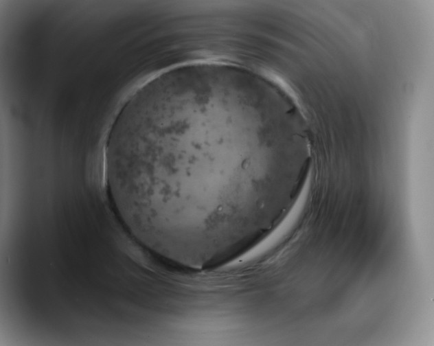 X0000090441371200707131212