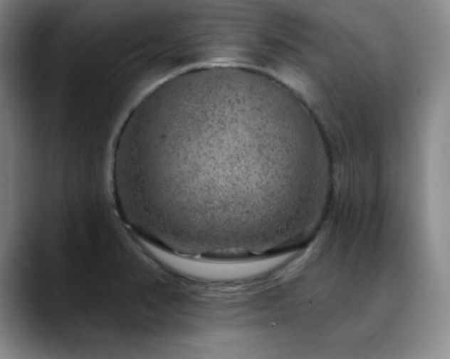 X0000090441374200707131212