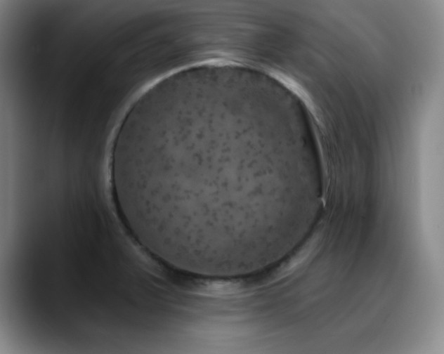 X0000090441375200707131212