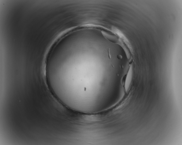 X0000090441376200707131212