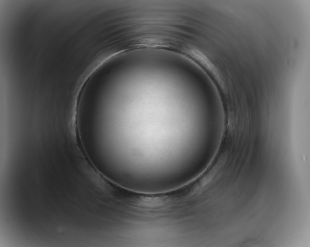 X0000090441378200707131212