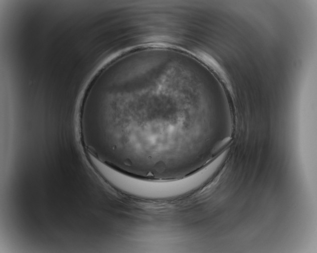 X0000090441384200707131212