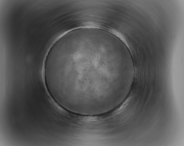 X0000090441387200707131212