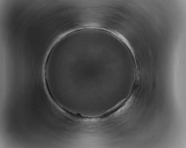 X0000090441389200707131212
