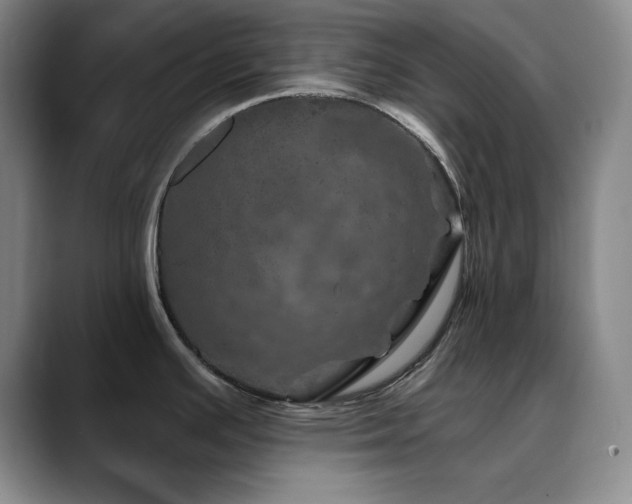 X0000090441391200707131212