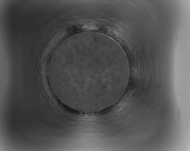 X0000090441393200707131211