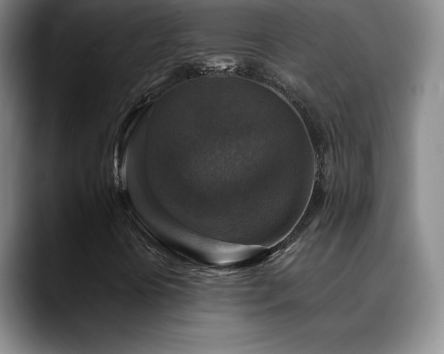 X0000090441394200707131211