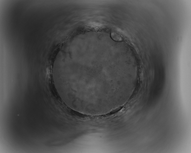 X0000090441397200707131211