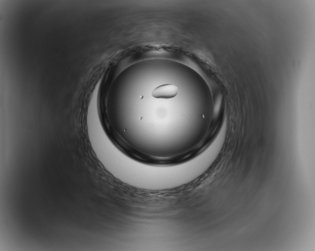 X0000090441398200707131211
