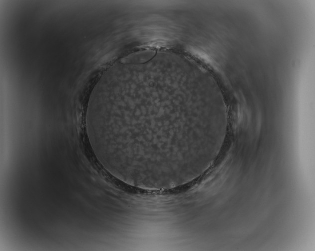 X0000090441399200707131211