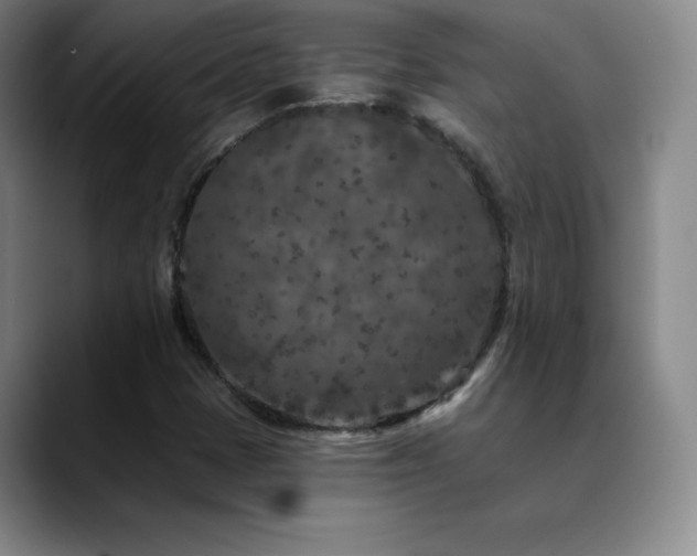 X0000090441401200707131211