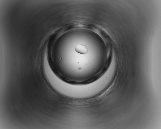 X0000090441402200707131211