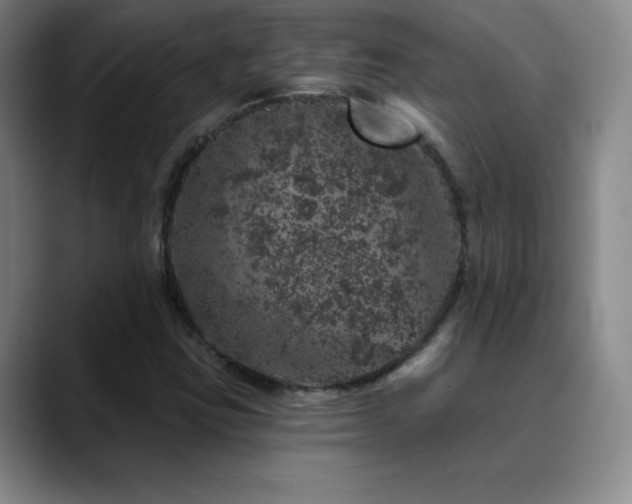 X0000090441403200707131211