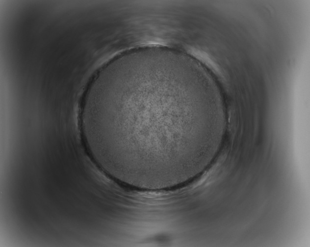 X0000090441404200707131211