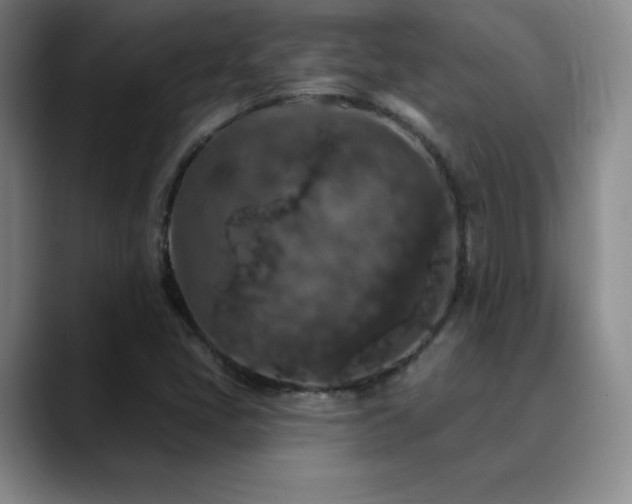 X0000090441405200707131211