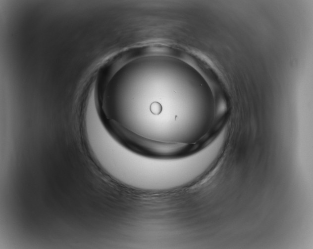 X0000090441406200707131211