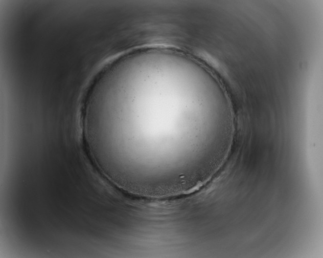 X0000090441408200707131211