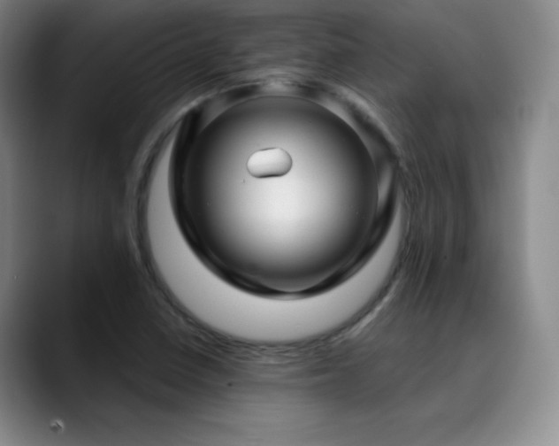 X0000090441410200707131211