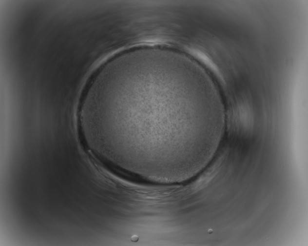 X0000090441412200707131211