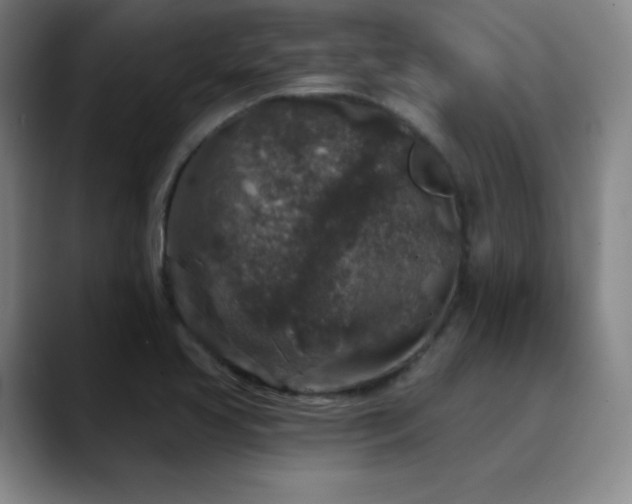 X0000090441413200707131211