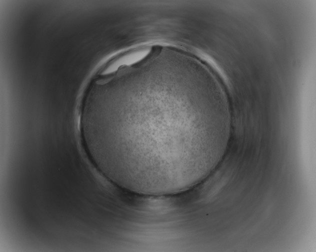 X0000090441416200707131211