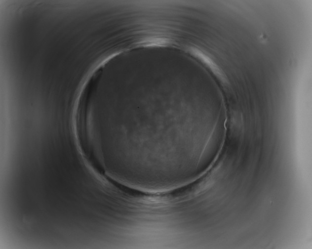 X0000090441418200707131211