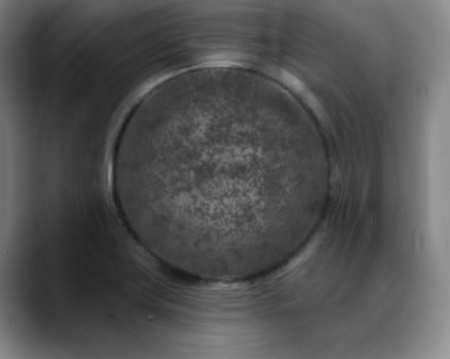 X0000090441419200707131211