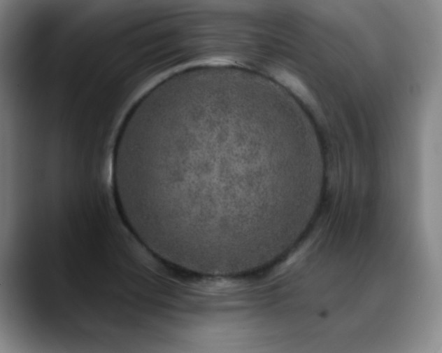 X0000090441420200707131211