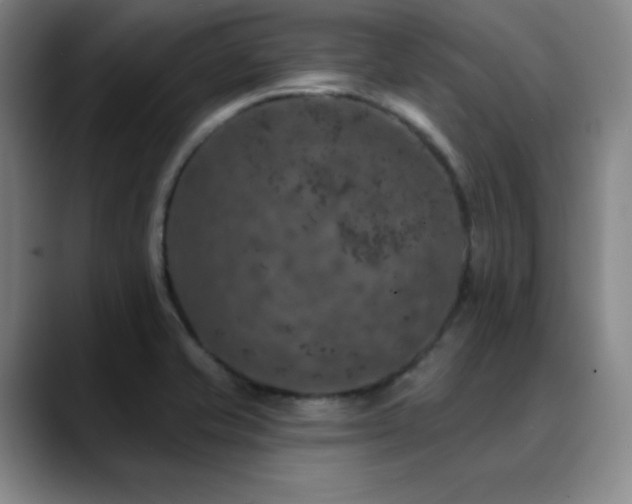 X0000090441421200707131211