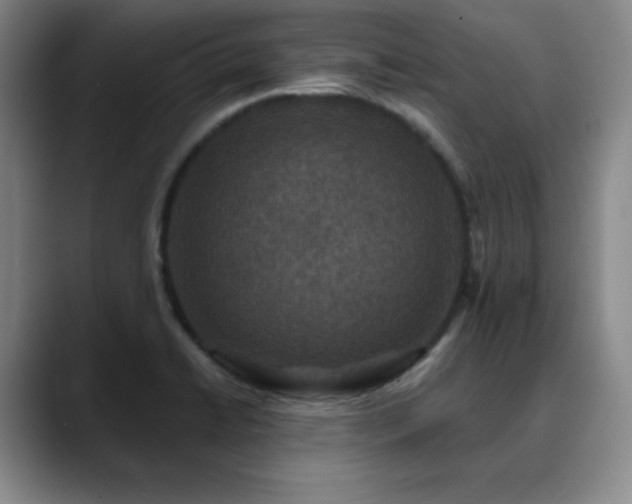 X0000090441422200707131211